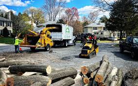 Trusted Eastlake, OH Tree Removal and Landscaping Services Experts